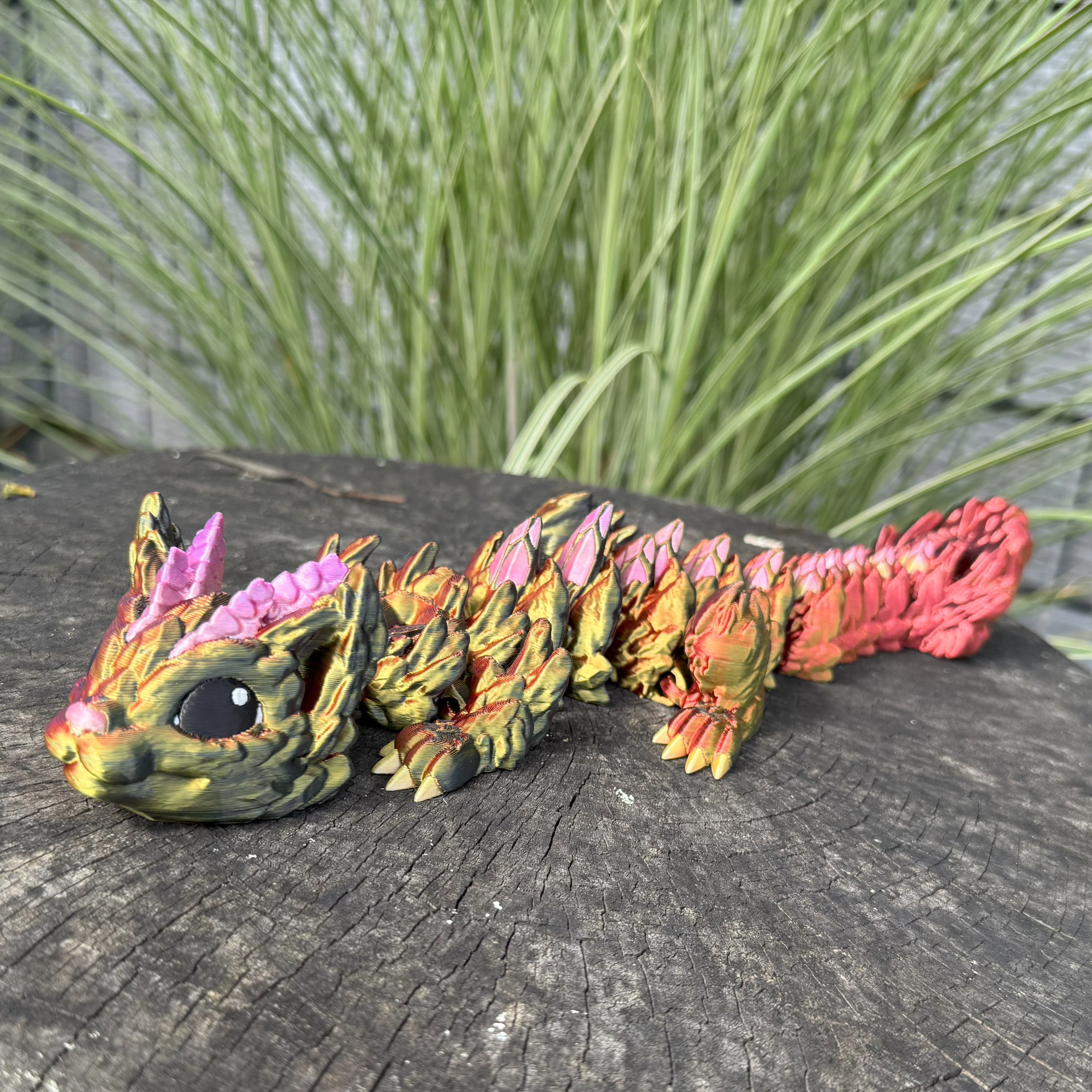 Katzendrache Baby Ansicht 4